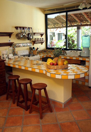 CASAMARbugambilia1 (70K)