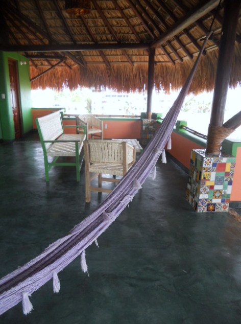 ZICATELASUITEShammock (133K)